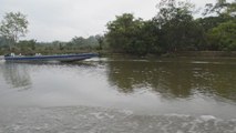 En alerta es declarada Reserva Biológica Indio Maiz en Nicaragua