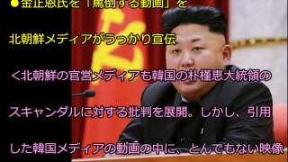 【大珍事件】金正恩氏を「罵倒する動画」を北朝鮮メディアがうっかり宣伝