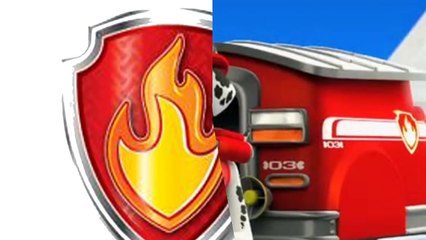 Paw Patrol Español Latino Capitulos Completos  La Patrulla Canina Compilacion Nick Junior Cartoon