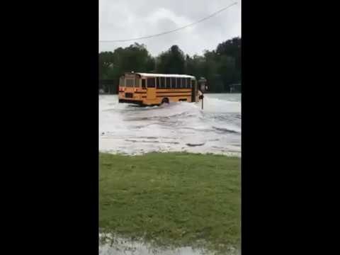 Louisiana School Bus Drives Down Flooded Street, Gets Stuck