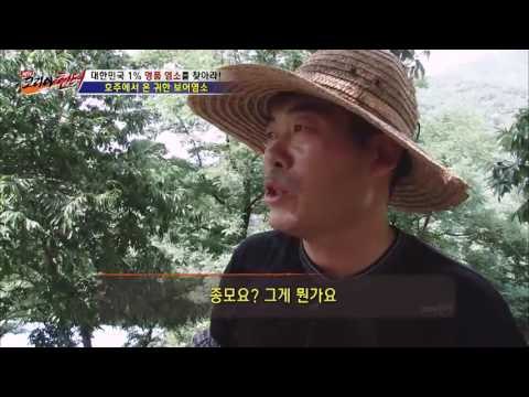 호주에서 온 명품! ‘보어염소’ [뉴 코리아 헌터] 6회 20160714