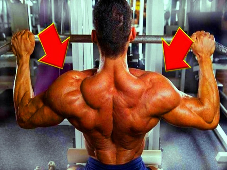 Ejercicio para hombros Musculosos Levantamiento de mancuerna con un solo brazo y ganar musculos