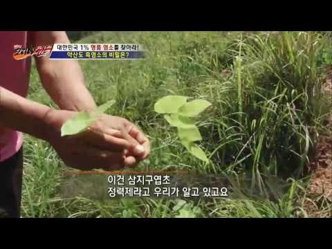 흑염소의 정력을 명품으로? 신비의 약초! [뉴 코리아 헌터] 6회 20160714