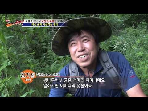 버섯 균에 기생하는 영양 가득 천마! [뉴 코리아 헌터] 6회 20160714