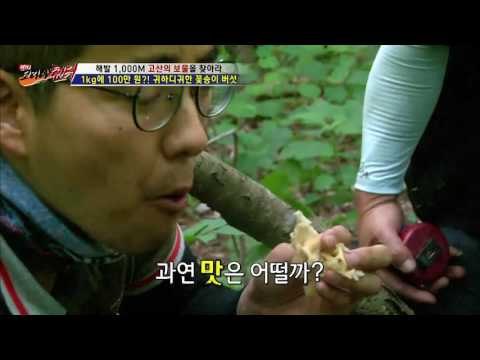 1kg에 100만 원, 금값 꽃송이 버섯의 맛은? [뉴 코리아 헌터] 6회 20160714