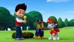 Paw Patrol English Pup Pup Goose Pup Pup and Away part 15 brief episode