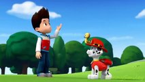Paw Patrol English Pup Pup Goose Pup Pup and Away part 16 brief episode