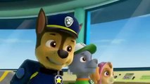 Paw Patrol English Pup Pup Goose Pup Pup and Away part 9 brief episode