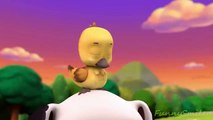 Paw Patrol English Pup Pup Goose Pup Pup and Away part 6 brief episode