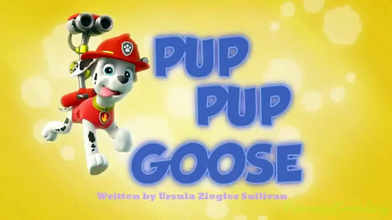 Paw Patrol English Pup Pup Goose Pup Pup and Away part 1 brief episode