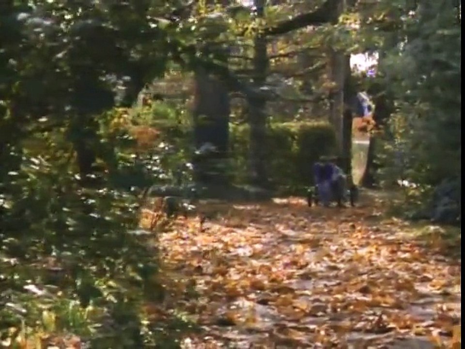 Диггер / Digger (1993)