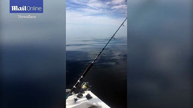 Terrifying moment a huge five-metre great white shark circles around a fishing boat as a father and son cower inside