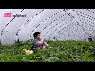 천근만근 엄마의 하루![엄마의 봄날] 50회 20160711