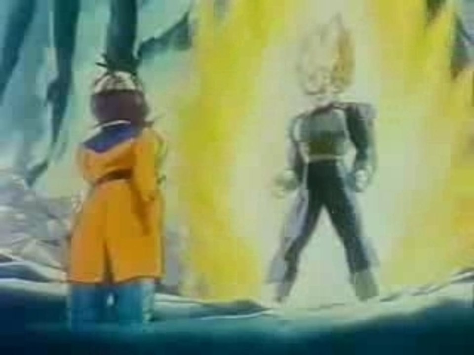 History of vegeta