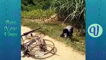 New Funny Videos ♦ Best Pranks 2017 ♦ Whatsapp Funny Can t stop laughing