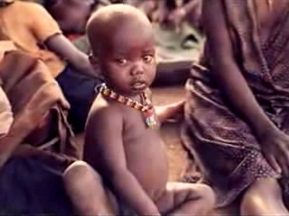 Lofofora Amnes History