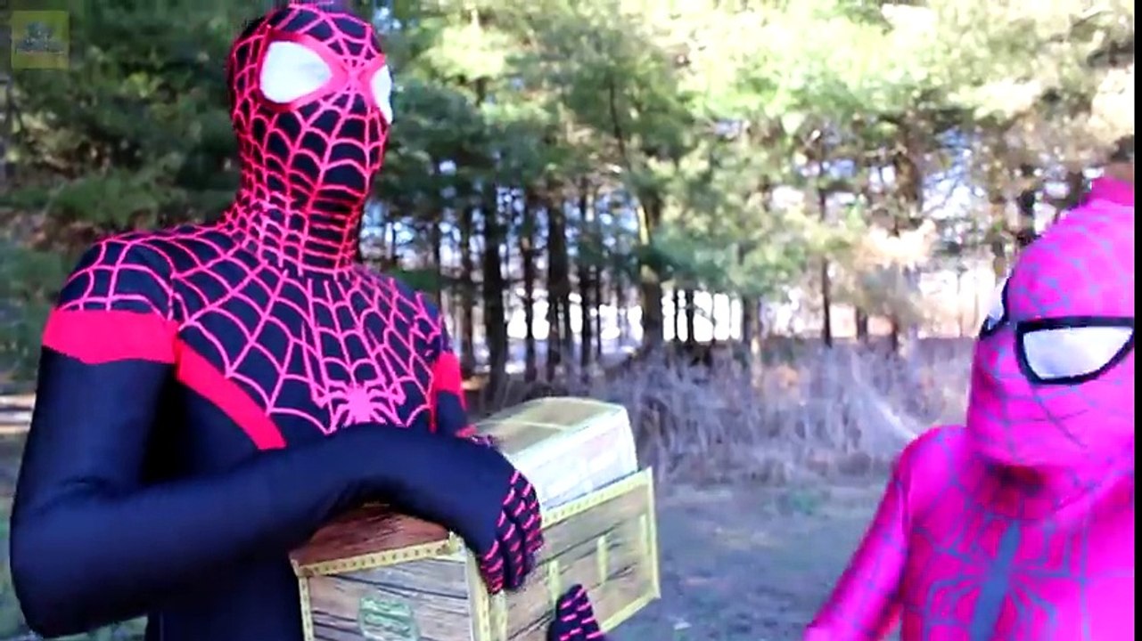 Spiderman and Frozen Elsa vs Bees! w_ Pink Spidergirl, Disney Princess Rapunzel, Catwoman & Joker -)