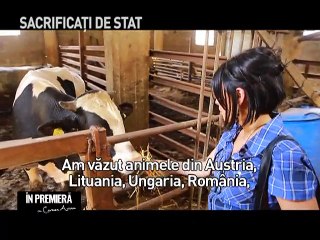 SACRIFICATI DE STAT PARTEA -  נטבחים על יד המדינה