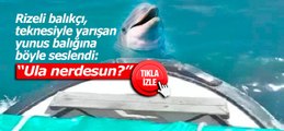 Rizeli balıkçı, teknesiyle yarışan yunus balığına böyle seslendi: Ula nerdesun?