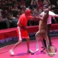 Kangaroo Fighting With Man in a match Amazing & fuuny video