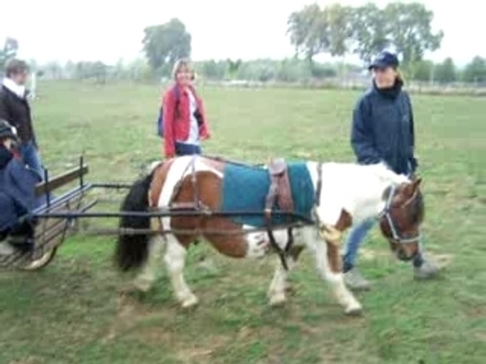 Balade de choupy en mini calèche