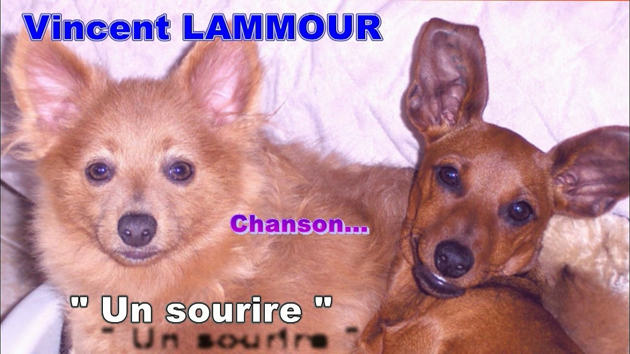 Un sourire Chanson Vincent LAMMOUR