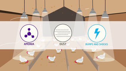 How LED Improves the Quality of Life in Agriculture?