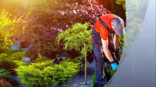 Cuevas Landscaping and Pavers - (623) 759-1750