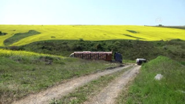 Tırda Doğal Bal Üretiyor (1)