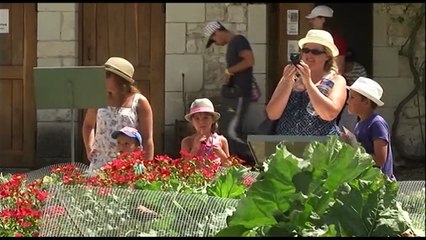 FOCUS/ Sortie de l'Euro: quelles conséquences pour le tourisme en Touraine?