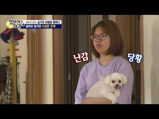 떠나보냈던 애완견 밍키와의 재회에 당황하는 윤아, 무슨 일이?[엄마가 뭐길래] 35회 20160707