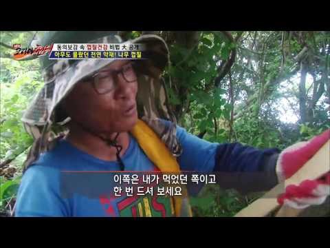 칼로 나무의 껍질을 벗기는 이유는?![뉴 코리아 헌터] 5회 20160707