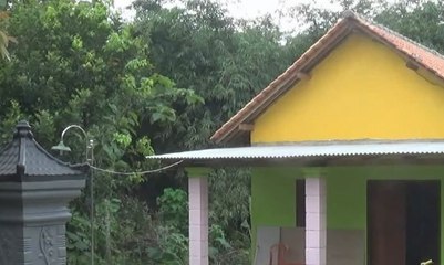 Rumah Baru Untuk Sulami Sang Manusia Kayu