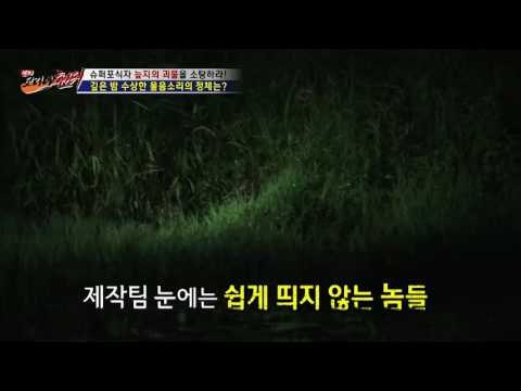 깊은 밤, 늪지의 괴물의 울음소리![뉴 코리아 헌터] 5회 20160707
