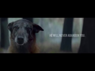 Sonuyla Yürekleri Sızlatan En İyi Dost Videosu