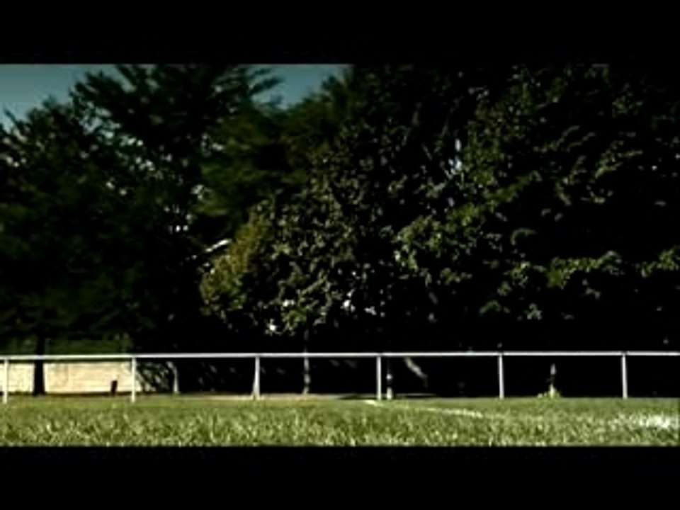 Le Haka Des Lapins Crétins