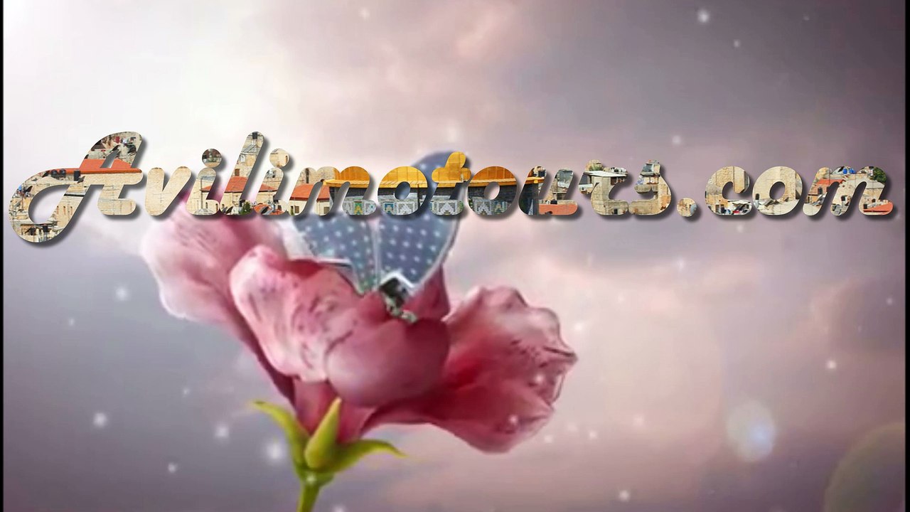 Private guided tours Israel | avilimotours