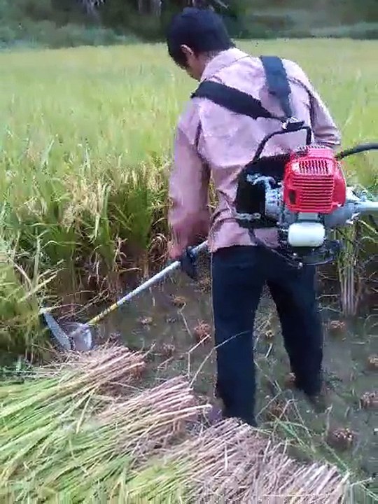 cara potong padi terbaru 2016