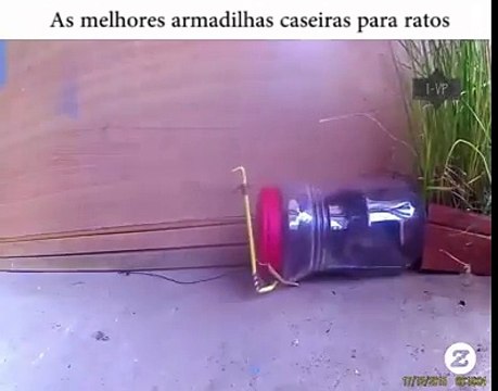 As melhores armadilhas caseiras para ratos