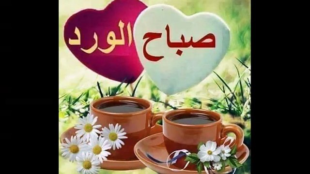 cheb Akil esseghir (wellit social) , الشاب عقيل الصغير (وليت سوسيال)