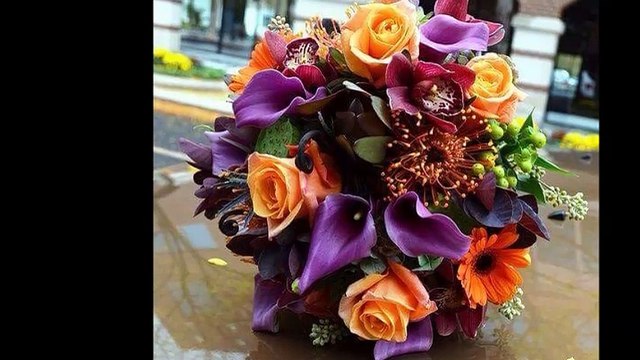 cheb Akil esseghir ( tfakkart emmimti ) , الشاب عقيل الصغير ( تفكرت أميمتي )