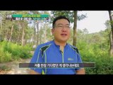 통풍을 잡는 것은 기생식물? [내 몸 사용설명서] 110회 20160708