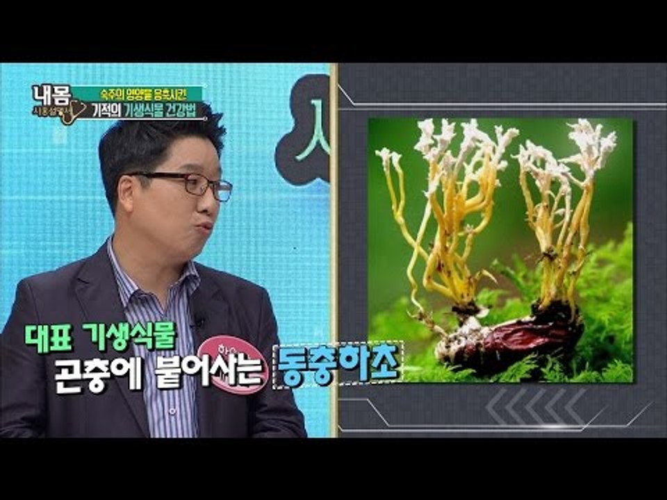 기적의 기생식물 건강법에 대해! [내 몸 사용설명서] 110회 20160708