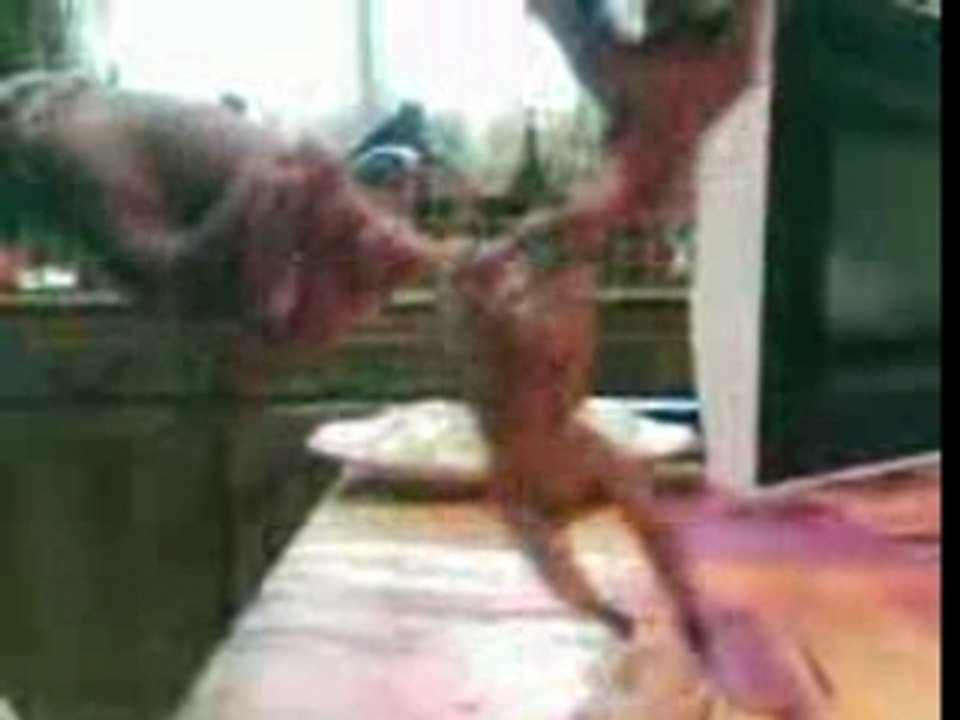 caille dancing