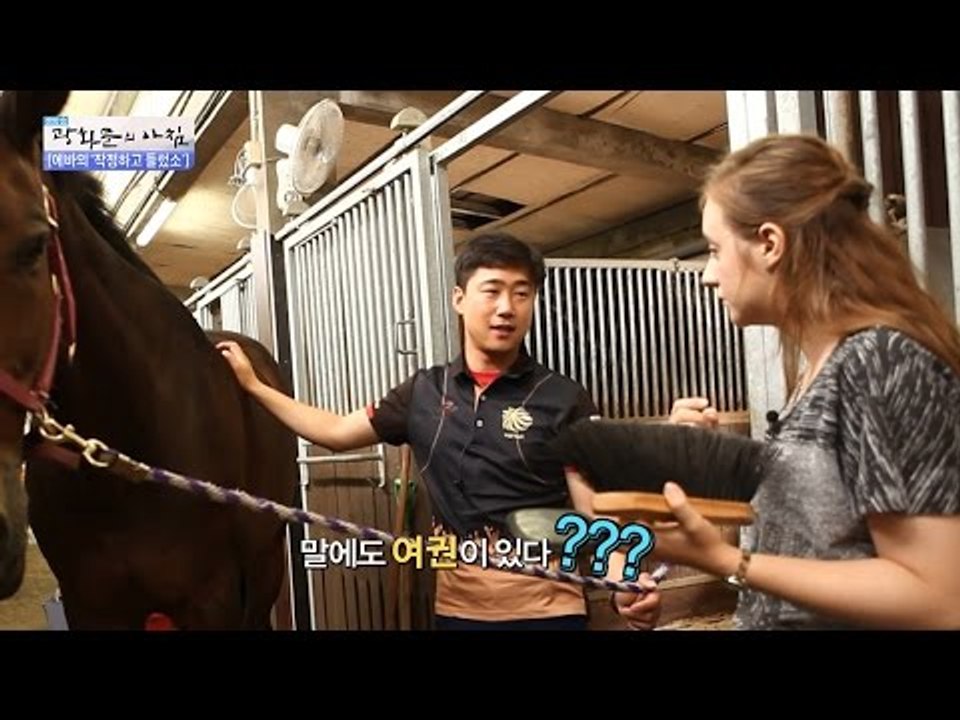 말에게도 여권이 있다?[광화문의 아침] 269회 20160707