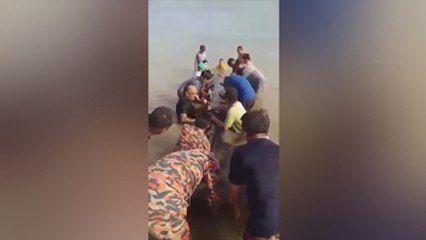 Bomberos e isleños, los héroes de una ballena varada en Malasia