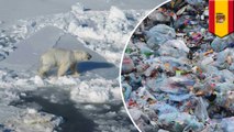 มหาสมุทรอาร์กติก กลายเป็นที่ทิ้งขยะยักษ์