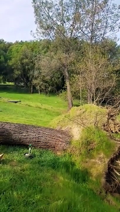 Une catapulte humaine version bûcheron du marais
