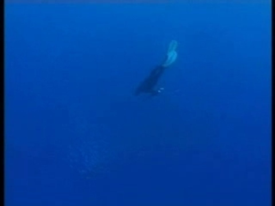 Chasse en Nouvelle-Calédonie