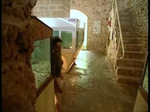 Tunisie entre mer et désert